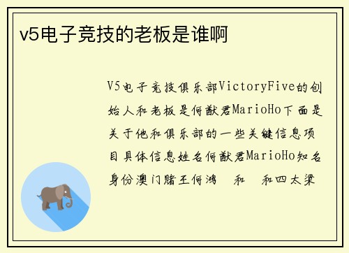 v5电子竞技的老板是谁啊